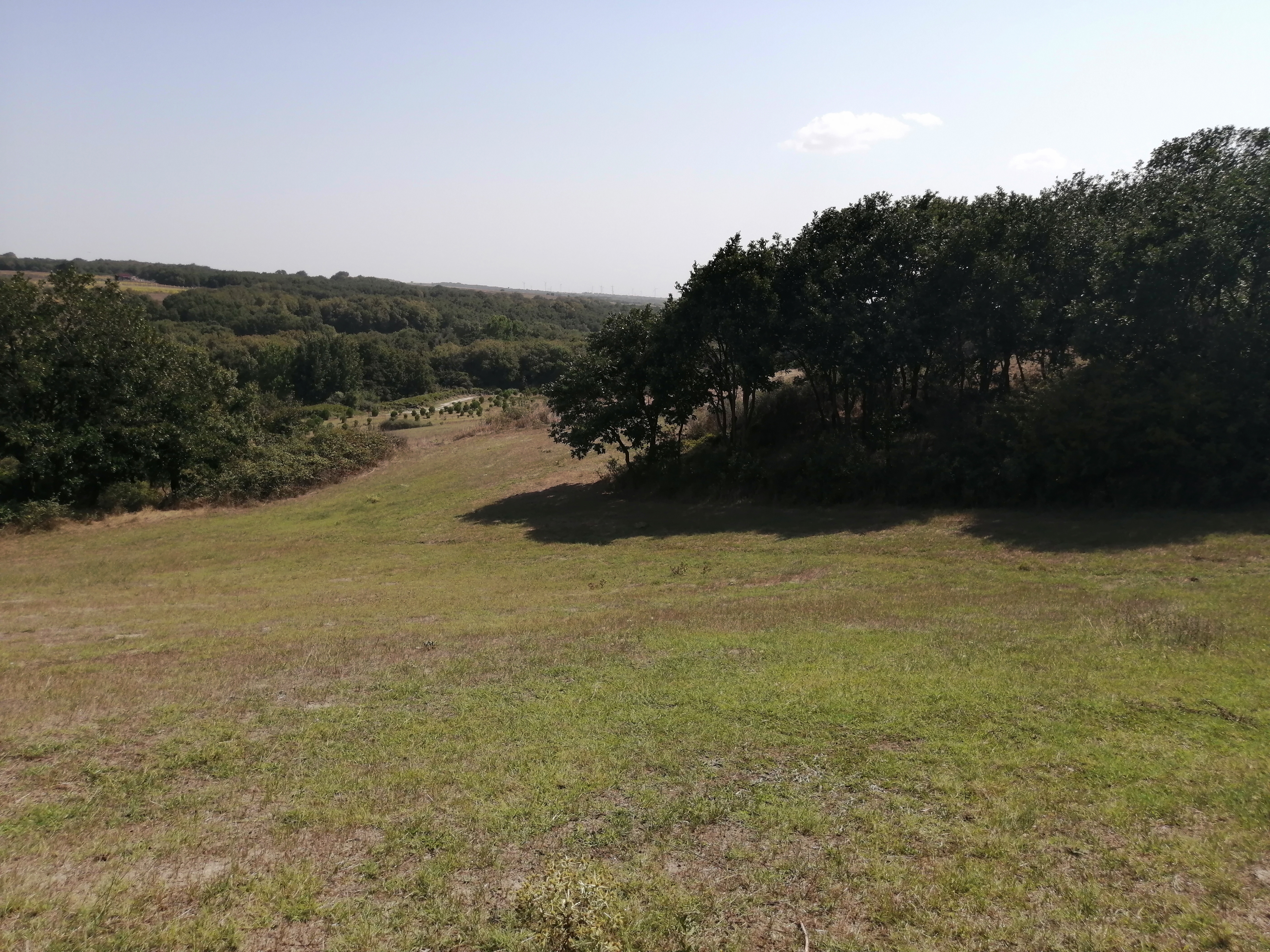 SİLİVRİ BUYUKCAVUSLUDA 5000 M2 TARLA